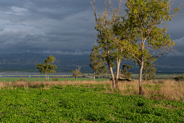 Eastbound view towards the Kingdom of Jordan as seen from kibbutz Kfar Ruppin, Jordan valley,...
