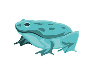 green frog icon