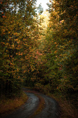 To more foto: Pexels | Danila Popov