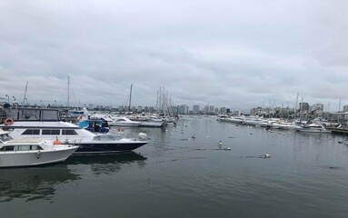 Puerto de Punta del Este