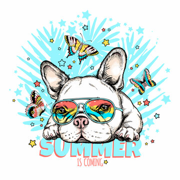 Cute french bulldog with butterflies.Summer is coming  illustration. Stylish image for printing on any surface