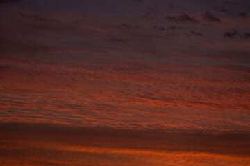 To more foto: Pexels | Danila Popov