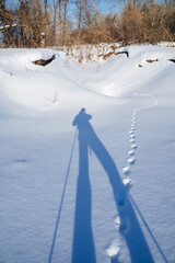 The shadow of a man in the snow. The forest traveler stands on a white background, nature around people. Silhouette in the rays of the sun.