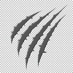 Illustration of claw scratches isolated on transparent background. Traces of scratches of the claws of a wild predator