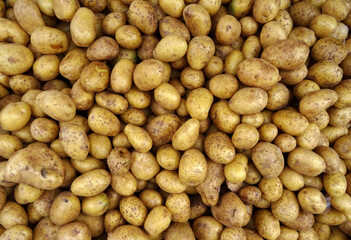 Potatoes (Solanum tuberosum in Latin) on a farmers market stall in the Aegean coastal town Bodrum, Turkey.     