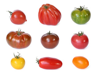 Tomates variétés anciennes	
