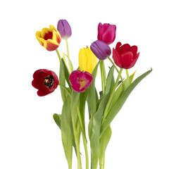 Bouquet de tulipes de différentes couleur