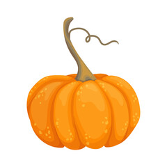Ripe autumn pumpkin.Orange cartoon vegetable.Vector graphics.
