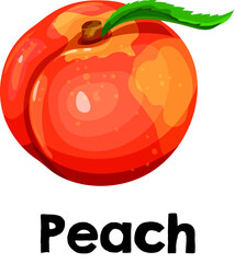 Fantastic Fresh fruit peach