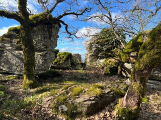 around the Sardinian nature seeing trees, rocks, lakes, rivers standing in the sun among the leaves and trunks enjoying the good sun