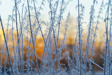 winter, landschaft, natur, schnee, Eis