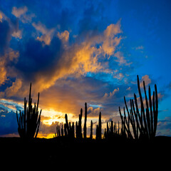 Sunset on Aruba, Dutch Caribbean