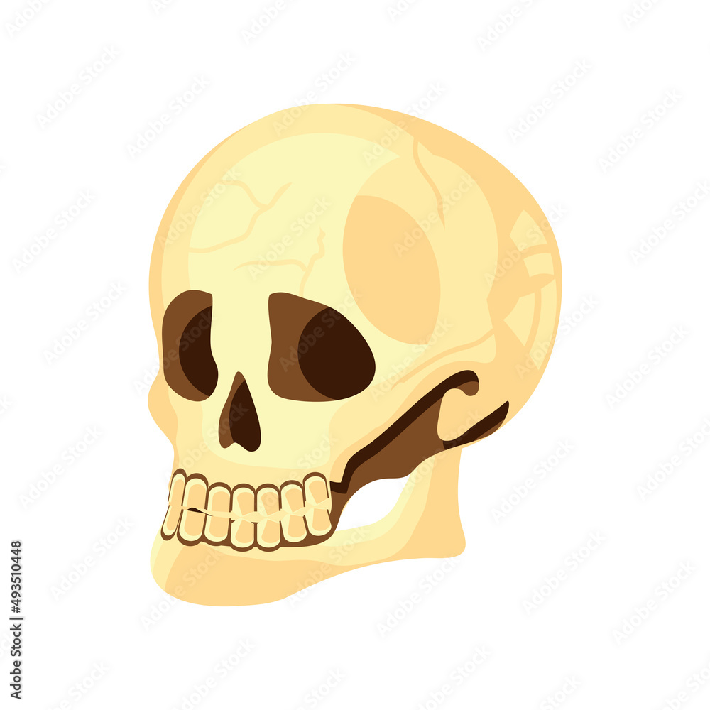 Sticker skull icon flat