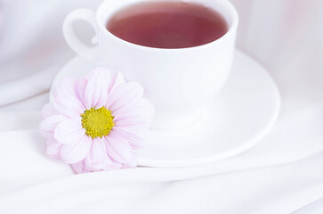 pink chrysanthemum with a yellow center next to a white cup of tea on a light background