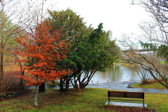 A park bench by the side of a pond, Bowring Park, St. John's, NL, Autumn.