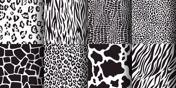 Animal skin seamless pattern, giraffe, leopard, tiger, cow prints. Wildlife animals print texture, zebra, cheetah skins patterns vector set. Safari black and white textile or fabric