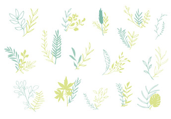 Hand drawn plant set modern and universally usable. Colorful with watercolor splashes. Trendy elements to give your design the finishing touch.