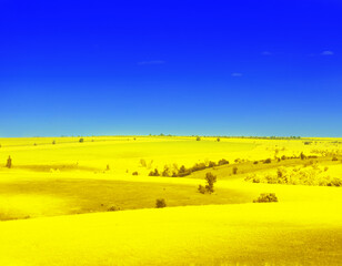 Ukrainian flag. Picturesque view of yellow landscape under blue sky