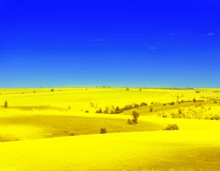 Tuinposter Oekraïense vlag. Schilderachtig uitzicht op het gele landschap onder de blauwe lucht © New Africa
