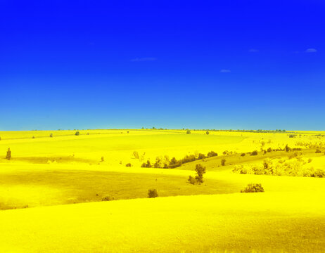 Ukrainian Flag. Picturesque View Of Yellow Landscape Under Blue Sky