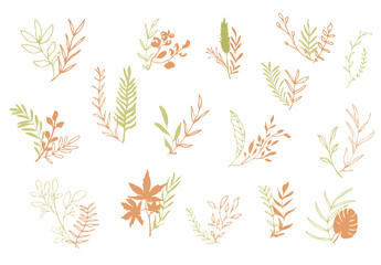 Hand drawn plant set modern and universally usable. Colorful with watercolor splashes. Trendy elements to give your design the finishing touch.