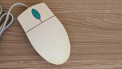 computer mouse