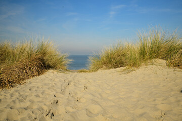 Fototapeta na wymiar Ein Weg aus Sand in den Dünen führt zwischen Gräsern zum Strand und zum suchtbaren blauem Meer