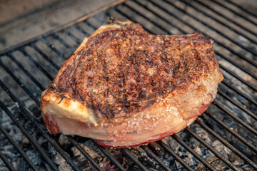 Closeup of a beautiful italian roasted steak on a barbeque grill. Appetizing piece of meat cooking on fire and embers in the backyard. Bbq, recreation, picnic, spring, summer, outdoors cook concept.