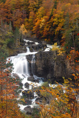 Ordesa en otoño.Pirineo aragones