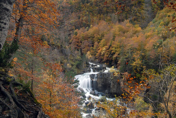 Ordesa en otoño.Pirineo aragones