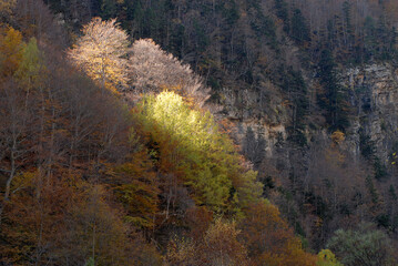 Pirineo aragones en otoño.Huesca.España