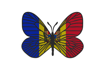 Fototapeta premium Butterfly wings in color of national flag. Clip art on white background. Moldova