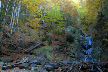 Ordesa en otoño.Pirineo aragones