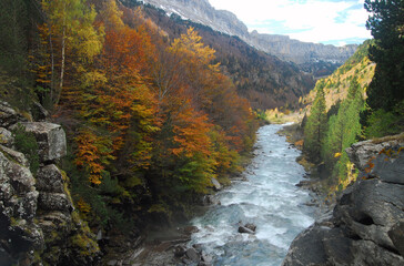 Ordesa en otoño.Pirineo aragones