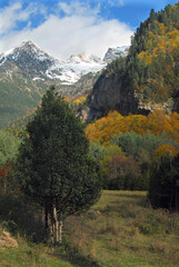 Ordesa en otoño.Pirineo aragones