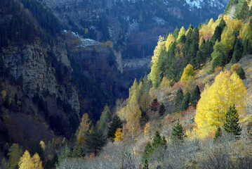 Ordesa en otoño.Pirineo aragones