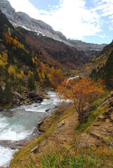 Fototapeta na wymiar Ordesa en otoño.Pirineo aragonés-Huesca.España