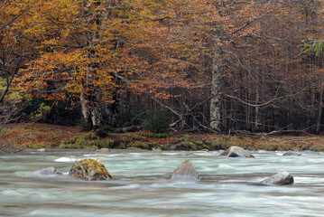 Ordesa en otoño.Pirineo aragonés-Huesca.España