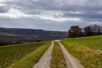 Fototapeta na wymiar Landschaft mit Himmel und Feldweg 
