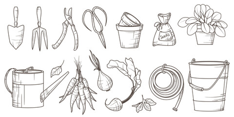 Vector set of gardening elements: tools, pots, plants, basket, hose, watering can, vegetables: beet, carrots, onion in sketch style. Illustration for decoration of gardening shop, design of pattern. 