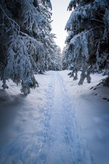Trail through idyllic winter landscapes at the Schoeckl mountain in Austria near Graz