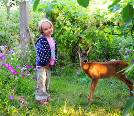 A girl with a deer in nature baby feeds a fawn and strokes she is dressed in blue clothes. High...
