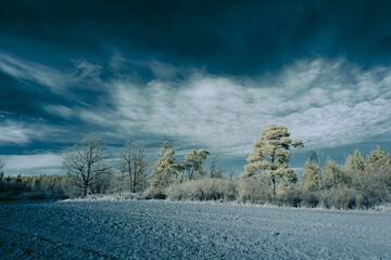 infrared photography - surreal ir photo of landscape with trees under cloudy sky - the art of our...