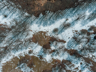 Snowy Landscape (Aerial View)