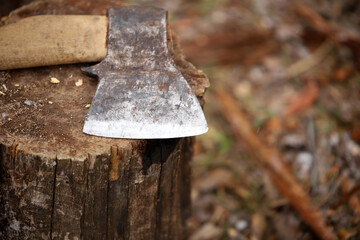 axe in the stump