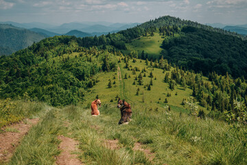 Mountain landscape with dog
