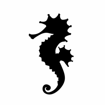 Seahorse black icon on white background. Beautiful silhouette for tattoo design, wedding festive card, fashion ornaments, logo, children, pattern. Vector illustration.