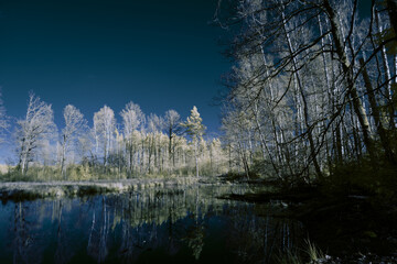 infrared photography - surreal ir photo of landscape with trees under cloudy sky - the art of our...