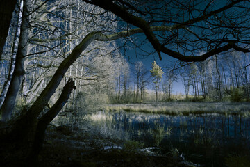 infrared photography - surreal ir photo of landscape with trees under cloudy sky - the art of our...