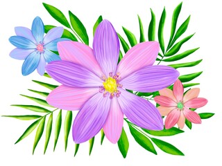 pink lily flower isolated